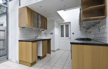 Ducklington kitchen extension leads